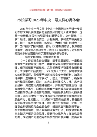 市长学习2025年中央一号文件心得体会