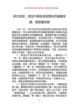 研讨发言：坚定不移促进民营经济健康发展、高质量发展