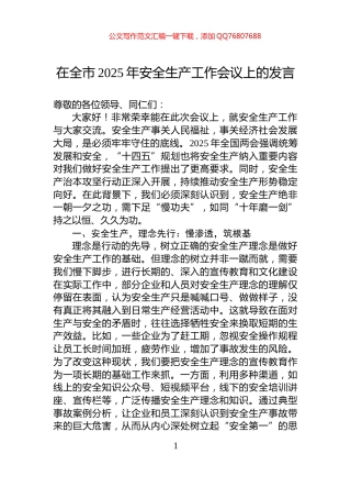 在全市2025年安全生产工作会议上的发言