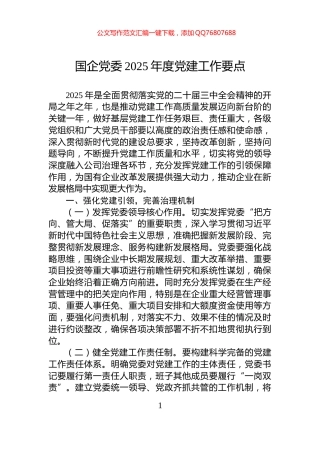 国企党委2025年度党建工作要点