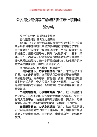 公安局分局领导干部经济责任审计项目经验总结