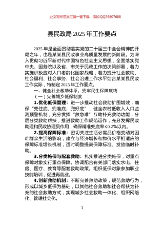 县民政局2025年工作要点