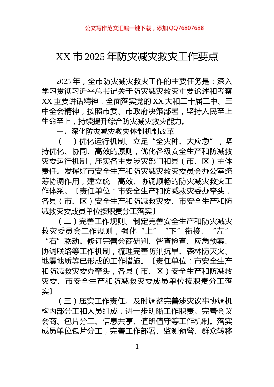 XX市2025年防灾减灾救灾工作要点_第1页