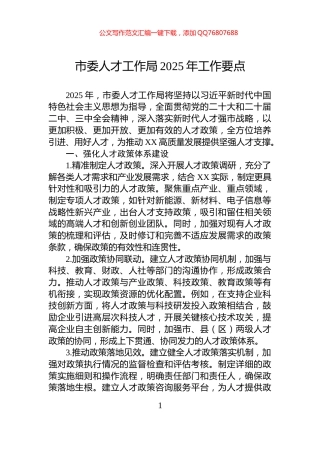 市委人才工作局2025年工作要点