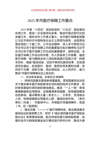 2025年市医疗保障工作要点