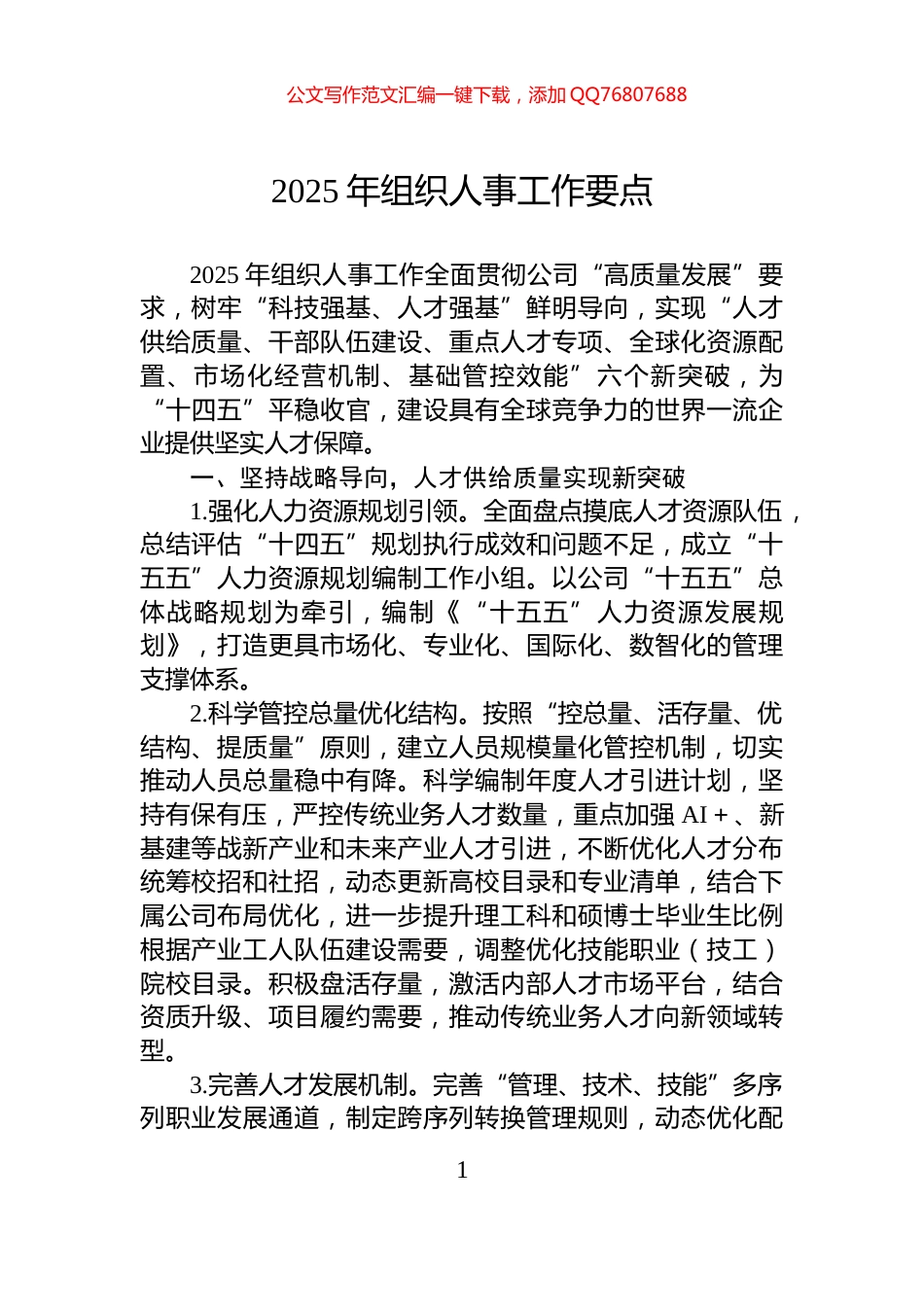 2025年组织人事工作要点_第1页