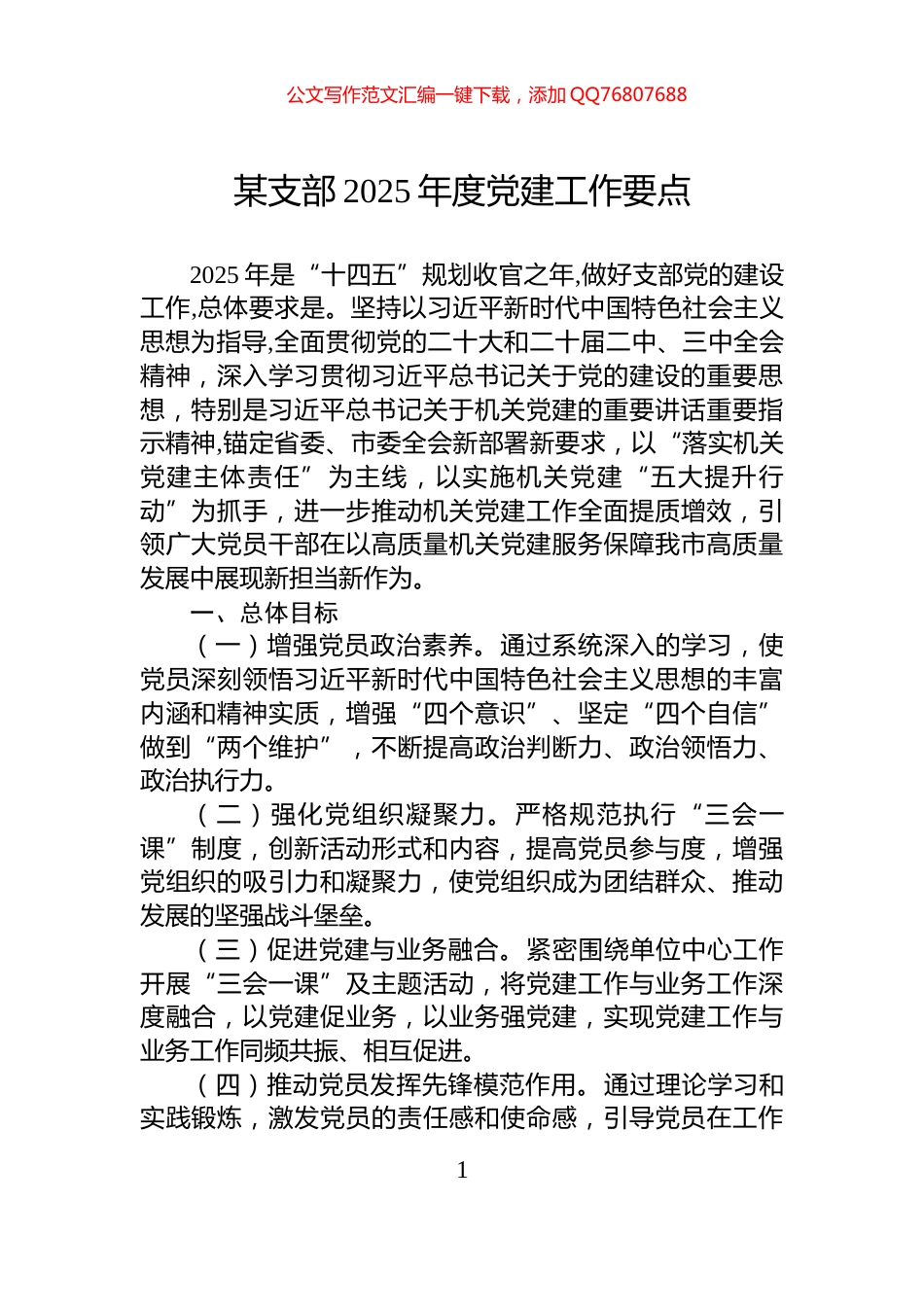 某支部2025年度党建工作要点_第1页