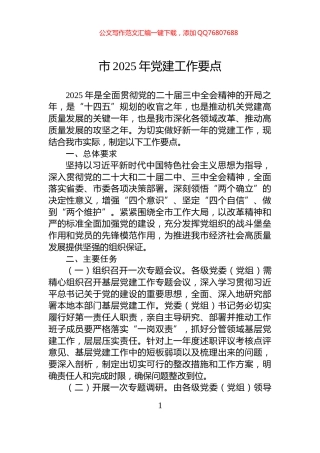 市2025年党建工作要点