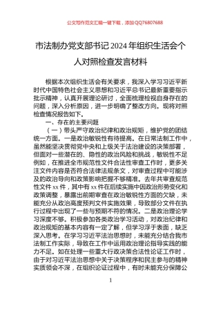 市法制办党支部书记2024年组织生活会个人对照检查发言材料