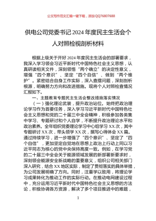 供电公司党委书记2024年度民主生活会个人对照检视剖析材料
