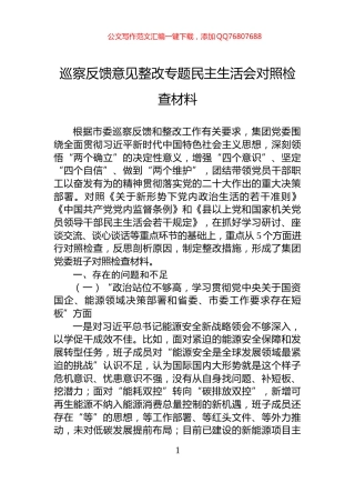 巡察反馈意见整改专题民主生活会对照检查材料