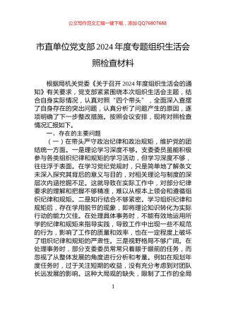 市直单位党支部2024年度专题组织生活会照检查材料