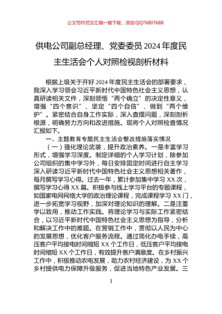 供电公司副总经理、党委委员2024年度民主生活会个人对照检视剖析材料