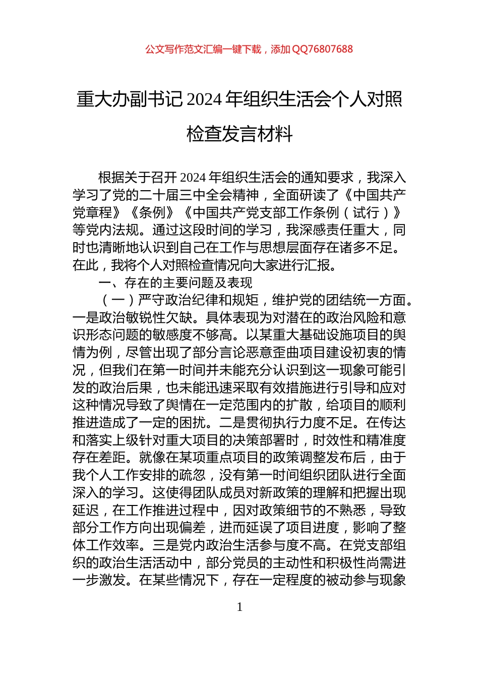 重大办副书记2024年组织生活会个人对照检查发言材料_第1页