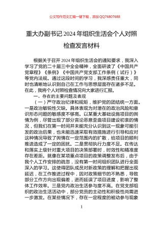 重大办副书记2024年组织生活会个人对照检查发言材料