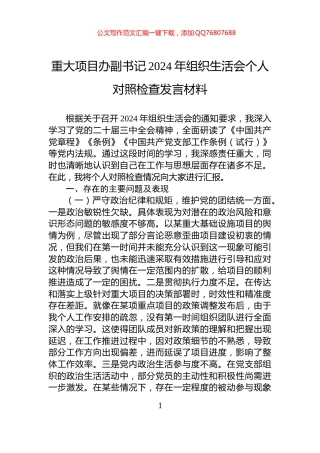 重大项目办副书记2024年组织生活会个人对照检查发言材料