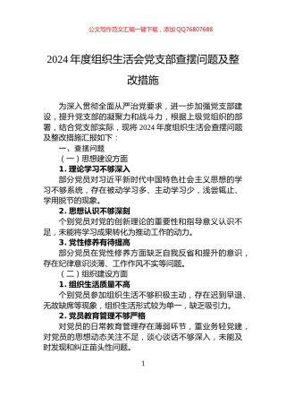 2024年度组织生活会党支部查摆问题及整改措施