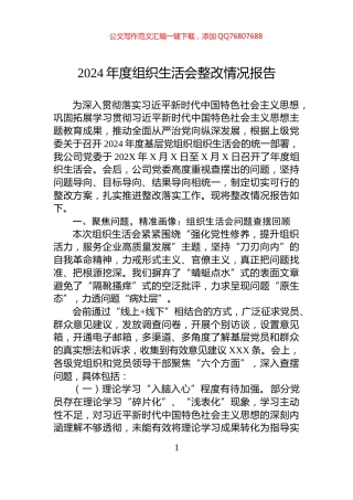 2024年度组织生活会整改情况报告