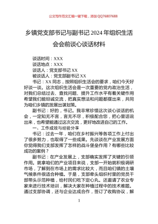 乡镇党支部书记与副书记2024年组织生活会会前谈心谈话材料