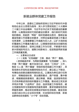新就业群体党建工作报告