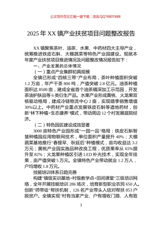 2025年XX镇产业扶贫项目问题整改报告