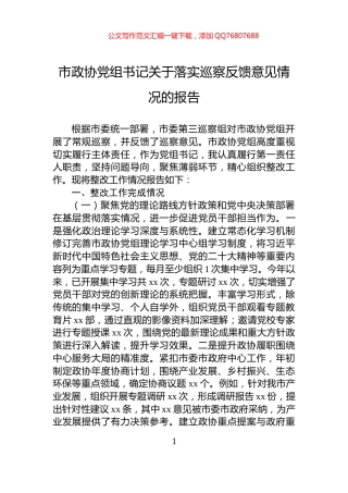 市政协党组书记关于落实巡察反馈意见情况的报告