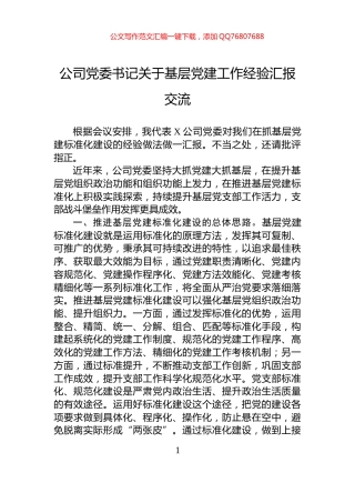 公司党委书记关于基层党建工作经验汇报交流