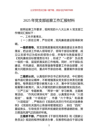 2025年党支部巡察工作汇报材料