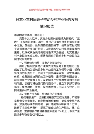 县农业农村局班子推动乡村产业振兴发展情况报告