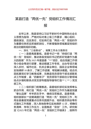 某县打造“两优一先”党组织工作情况汇报