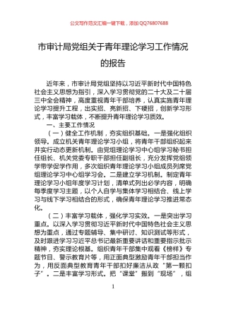 市审计局党组关于青年理论学习工作情况的报告