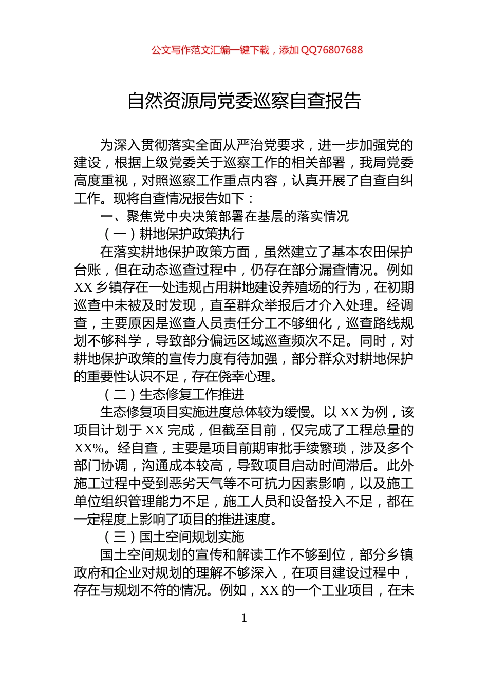 自然资源局党委巡察自查报告_第1页