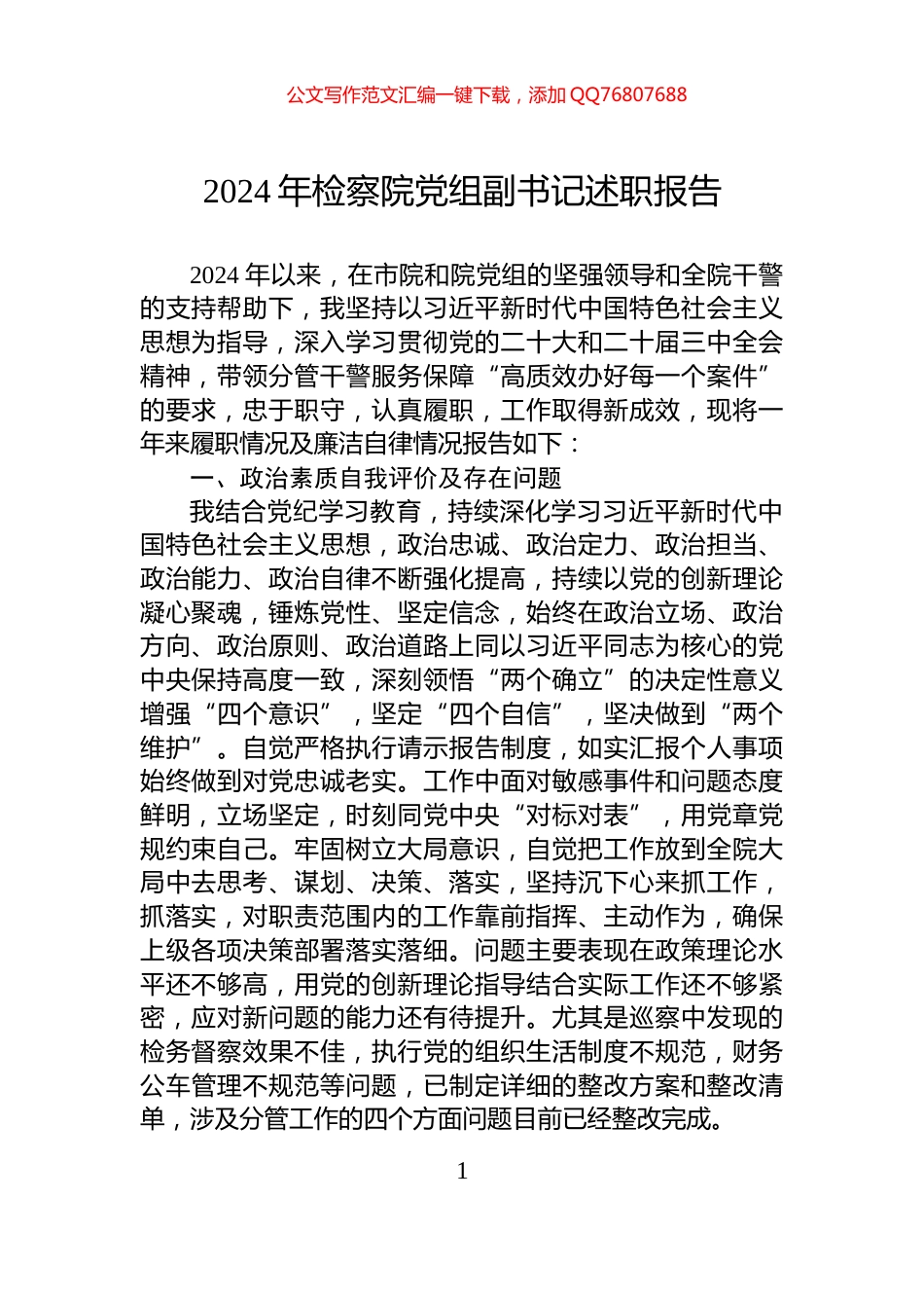 2024年检察院党组副书记述职报告_第1页