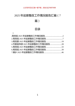 2025年巡察整改工作情况报告汇编（7篇）