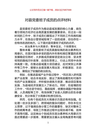 对县党委班子成员的点评材料