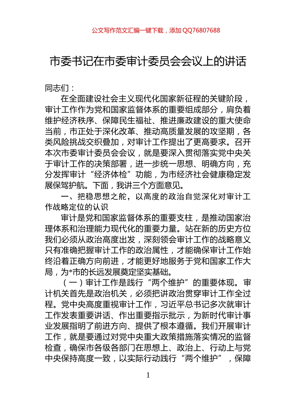 市委书记在市委审计委员会会议上的讲话_第1页