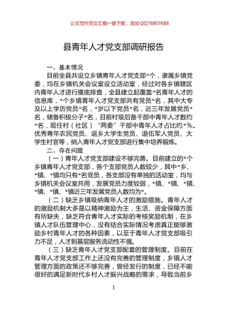 县青年人才党支部调研报告