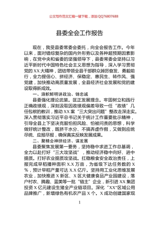 县委全会工作报告