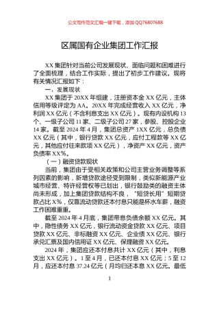 区属国有企业集团工作汇报