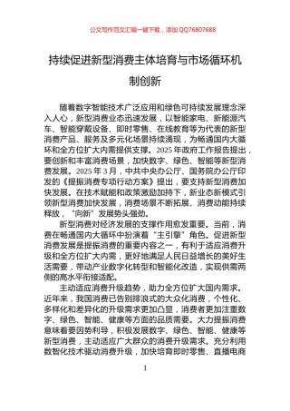 持续促进新型消费主体培育与市场循环机制创新