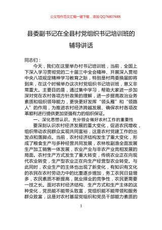 县委副书记在全县村党组织书记培训班的辅导讲话