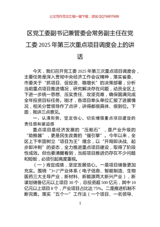 区党工委副书记兼管委会常务副主任在党工委2025年第三次重点项目调度会上的讲话