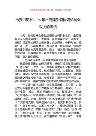 市委书记在2025年市党建引领协调机制会议上的讲话