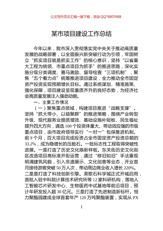某市项目建设工作总结
