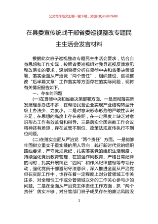 在县委宣传统战干部省委巡视整改专题民主生活会发言材料