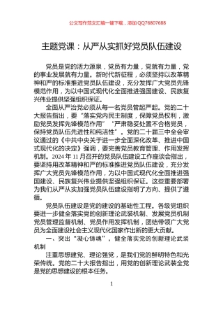 主题党课：从严从实抓好党员队伍建设