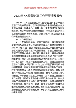 2025年XX巡视巡察工作开展情况报告