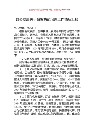 县公安局关于命案防范治理工作情况汇报