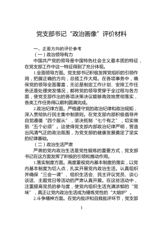党支部书记“政治画像”评价材料