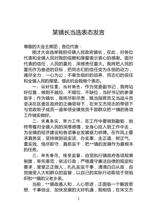 某镇长当选表态发言